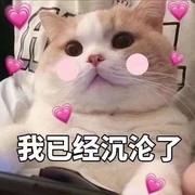 有点心急的个人资料头像