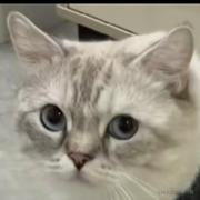 tlxpz的个人资料头像