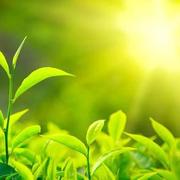 声生不息终将如愿的个人资料头像