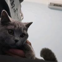煜啓头像