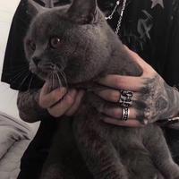 用户5485319645631头像