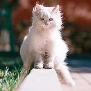 KyLin的个人资料头像