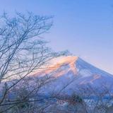 孟婆孟婆来瓶啤酒头像