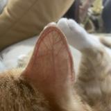 用户7398925788432头像