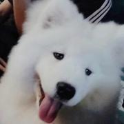 王三岁805的个人资料头像