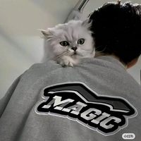 铛铛猫推文头像