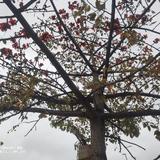 等祢徊铼头像