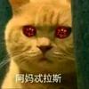 ✔头像