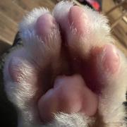 hxmc的个人资料头像