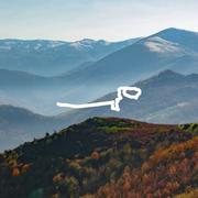 远方305的个人资料头像