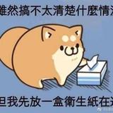 嘟嘟噗泥aka头像