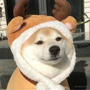 再眯会吧的个人资料头像