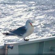 懒懒的云的个人资料头像