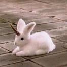 任宇的个人资料头像