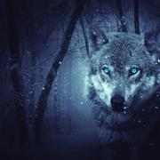 消失的时间33的个人资料头像