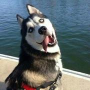 monkey_y的个人资料头像