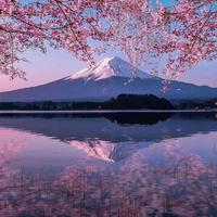 落霞与孤鹜1齐飞头像