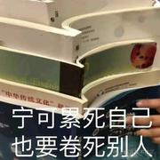 noora的个人资料头像