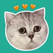 find_impossible的个人资料头像