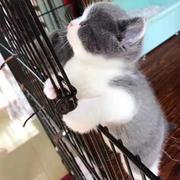 momk的个人资料头像