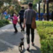 AlanPaine53的个人资料头像