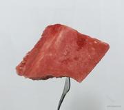 日斤米口的个人资料头像