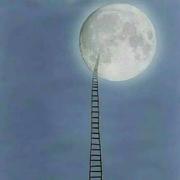 Moooon的个人资料头像