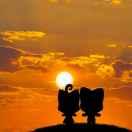 等风的个人资料头像