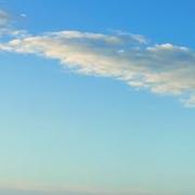 铁轨的末班车的个人资料头像