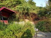 路北北的个人资料头像