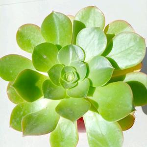 乐万家头像