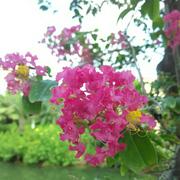 墨云的个人资料头像