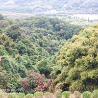 仁爱清泉Ha头像