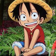 XF463的个人资料头像