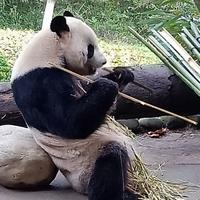 空空如也448866头像