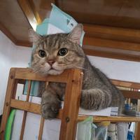 俺宇哥到此一游头像