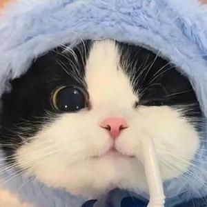 一毛八头像