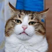 AWendyT的个人资料头像