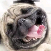 老婆管的严先生头像