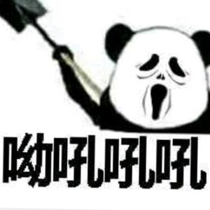 天绵头像