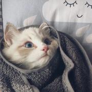 刘尚东的个人资料头像