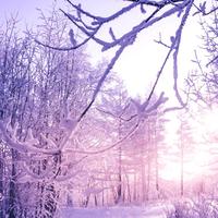 土豆在奋斗头像