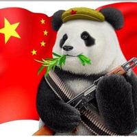 我是国宝都要让我头像