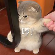 用户9329611939370的个人资料头像