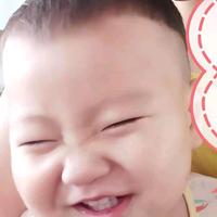 才高八斗风筝c00头像