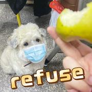 闫良呀的个人资料头像