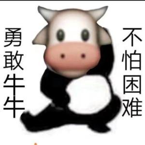 MR张长弓头像