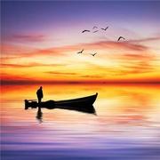 蜂蜜抽子味的茶的个人资料头像