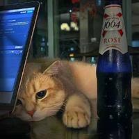 用户2915885951815头像