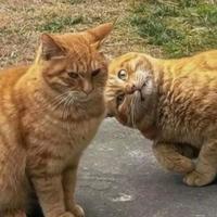 再杠跟我去工地头像